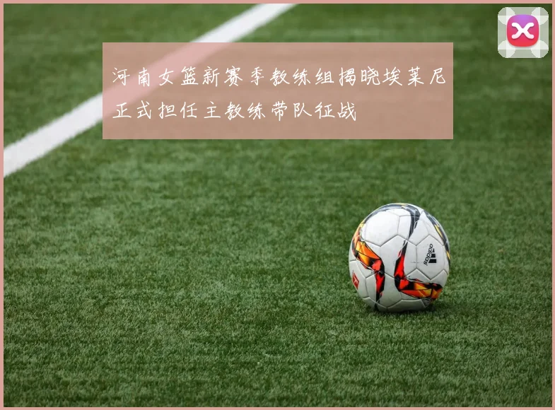 河南女篮新赛季教练组揭晓埃莱尼正式担任主教练带队征战