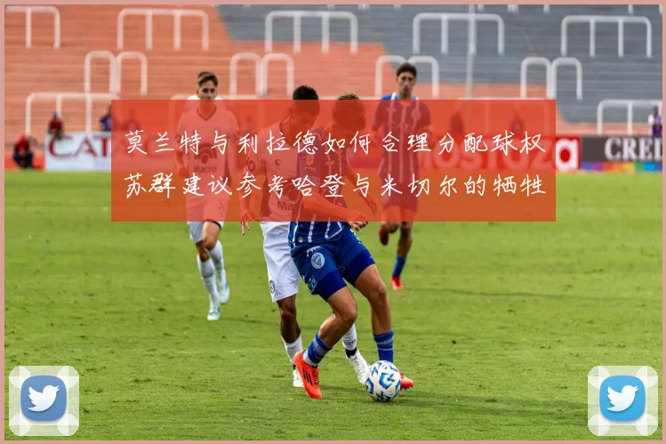 莫兰特与利拉德如何合理分配球权苏群建议参考哈登与米切尔的牺牲精神