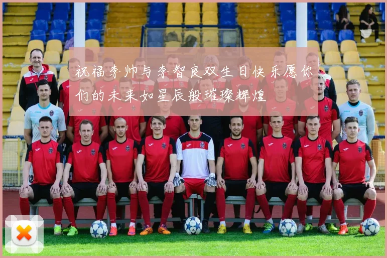 祝福李帅与李智良双生日快乐愿你们的未来如星辰般璀璨辉煌